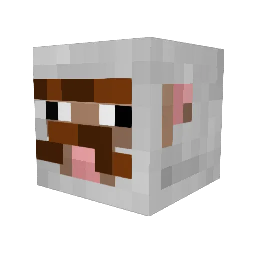 NathanIReed Minecraft avatar head, 3D render