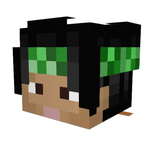 NathanM15182 Minecraft avatar head, 3D render