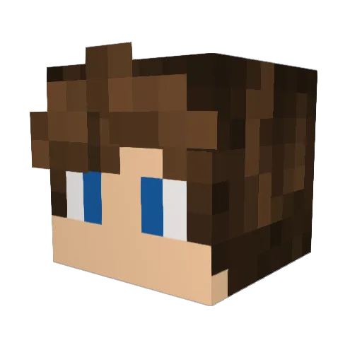NathanSLao Minecraft avatar head, 3D render