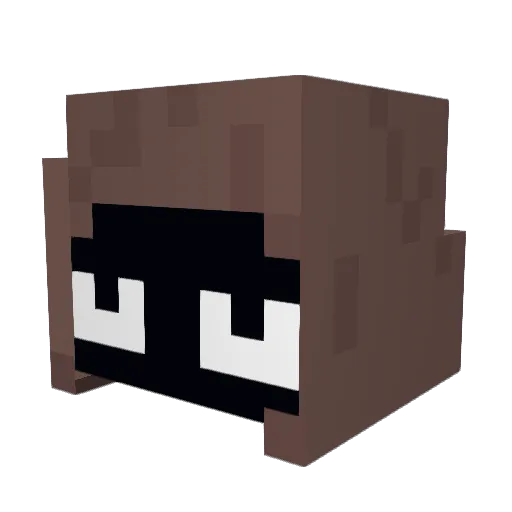 NathanToLive2x Minecraft avatar head, 3D render