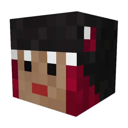 NathanWins Minecraft avatar head, 3D render