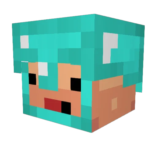 NathanWong0506 Minecraft avatar head, 3D render