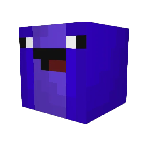 Nathan_1314 Minecraft avatar head, 3D render