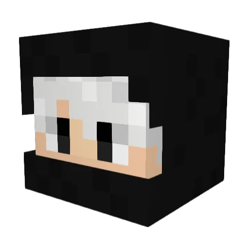Nathan_WV03 Minecraft avatar head, 3D render