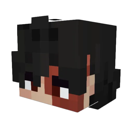 Nathan_exe135 Minecraft avatar head, 3D render