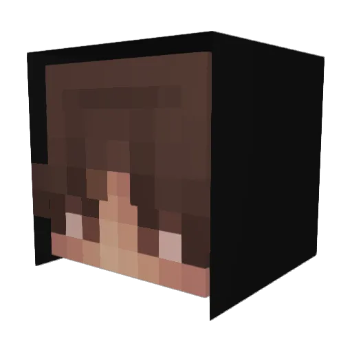 Nathanfive Minecraft avatar head, 3D render
