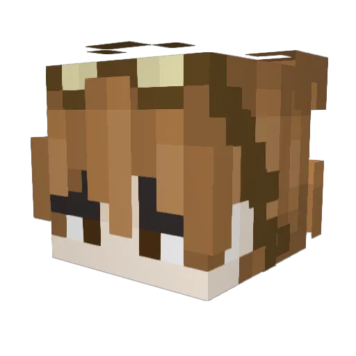 Nathanglocks Minecraft avatar head, 3D render