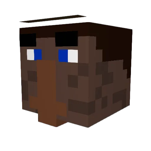Nathanh0 Minecraft avatar head, 3D render