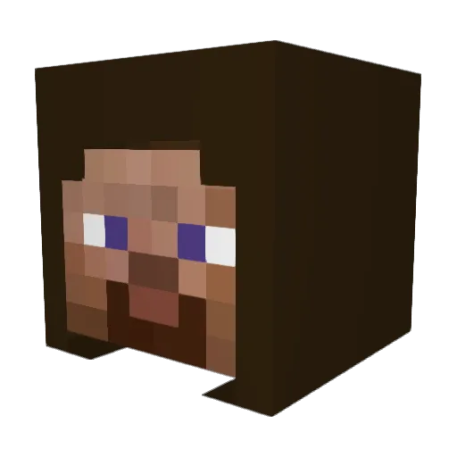 Nathanhub Minecraft avatar head, 3D render