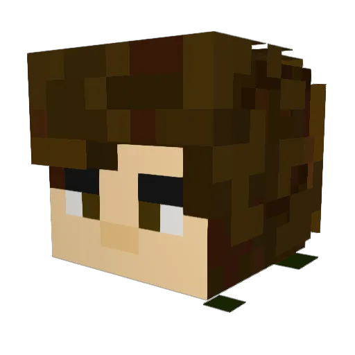 Nathaniel120 Minecraft avatar head, 3D render