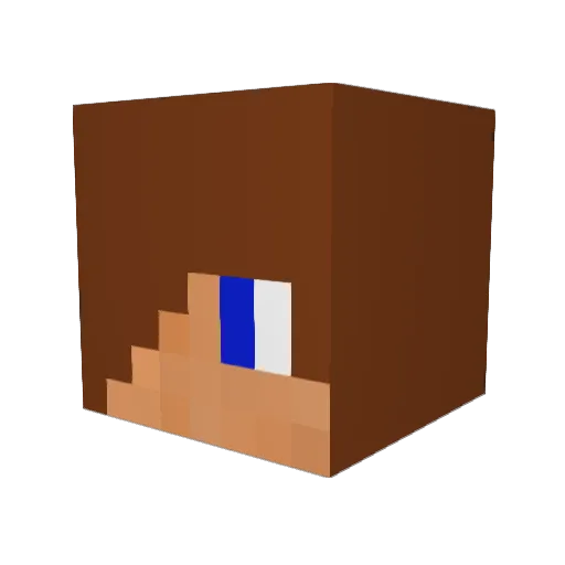 Nathaniel2010 Minecraft avatar head, 3D render
