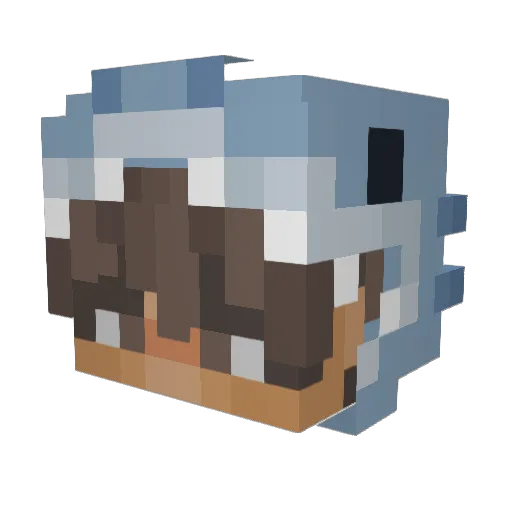 Nathaniel2014 Minecraft avatar head, 3D render