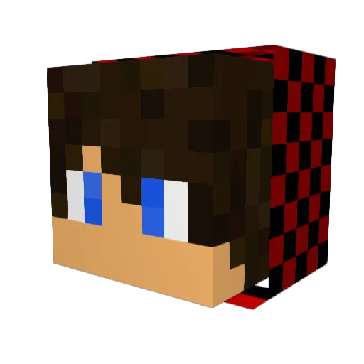 NathanielN03 Minecraft avatar head, 3D render