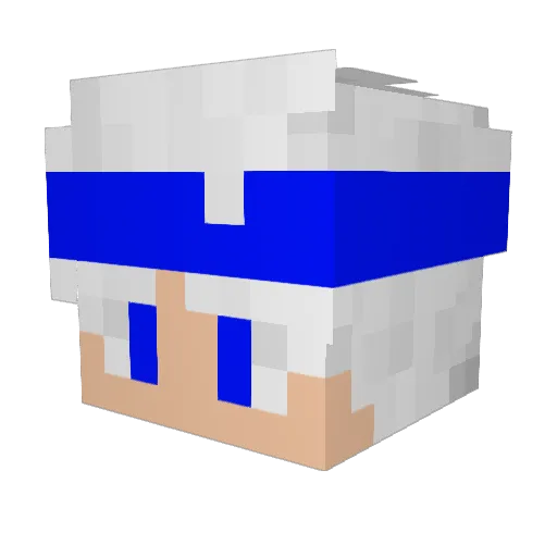 Nathaniel_Fox Minecraft avatar head, 3D render