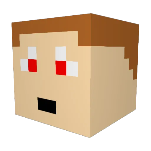 Nathanlx29 Minecraft avatar head, 3D render