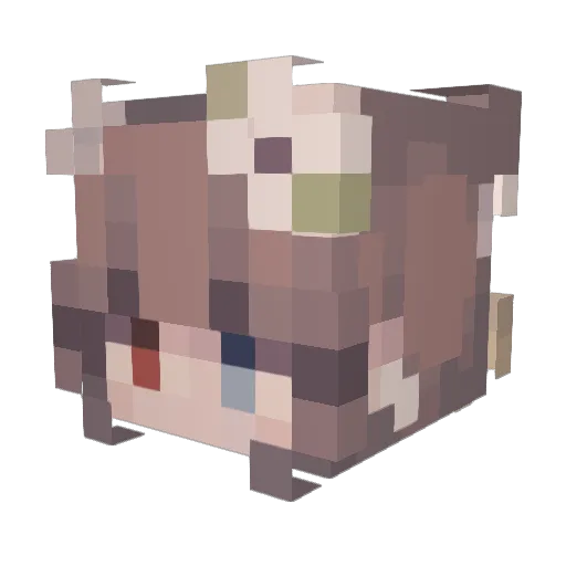 Nathon Minecraft avatar head, 3D render