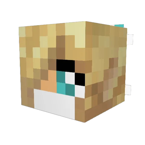 Nathy_kittens Minecraft avatar head, 3D render