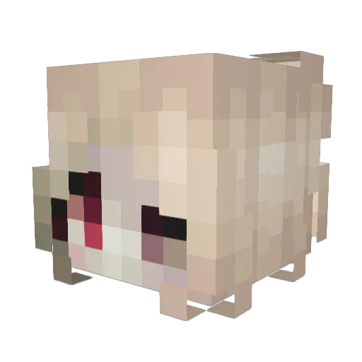 Nathyri Minecraft avatar head, 3D render