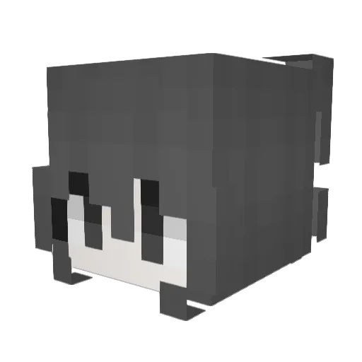 NatiCojida Minecraft avatar head, 3D render