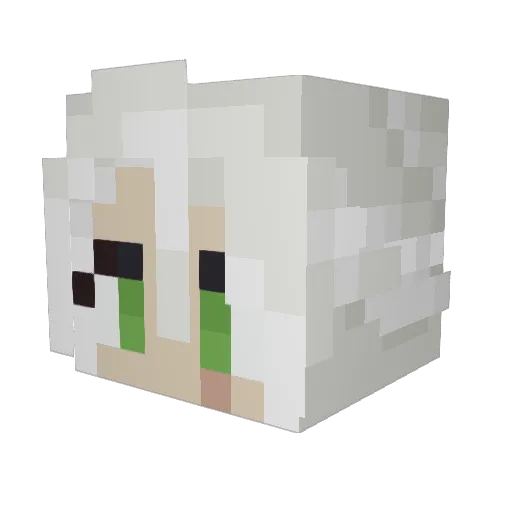 NatiD1234 Minecraft avatar head, 3D render