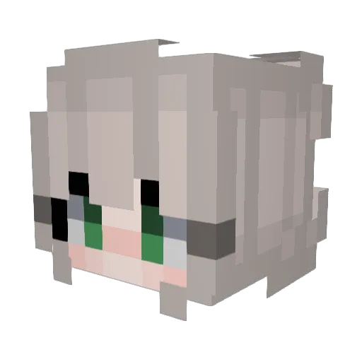 Nati_ups Minecraft avatar head, 3D render