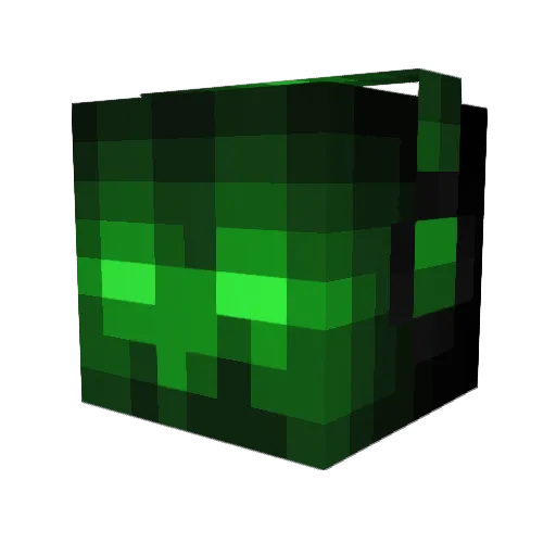 Natin201 Minecraft avatar head, 3D render