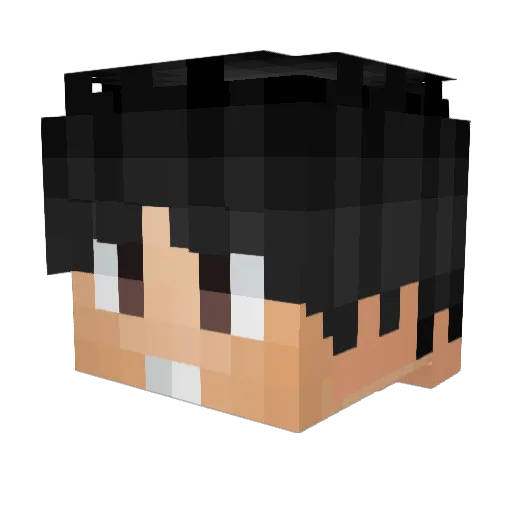 Natinus0 Minecraft avatar head, 3D render