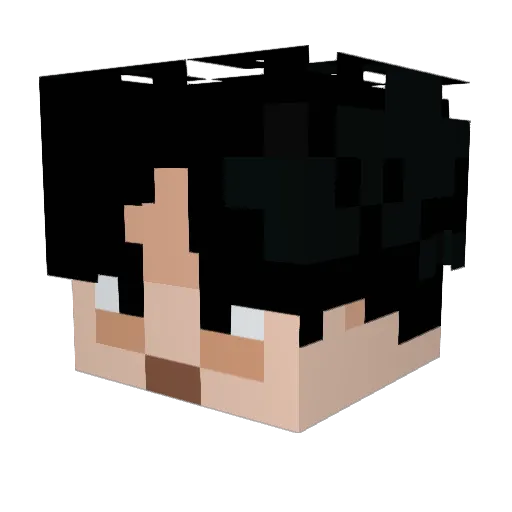 Nation7 Minecraft avatar head, 3D render
