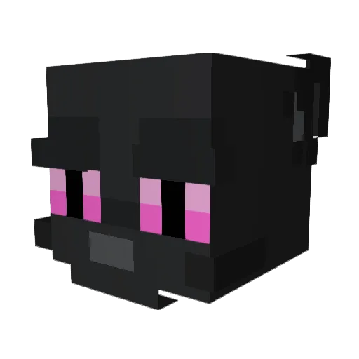 Nation Minecraft avatar head, 3D render