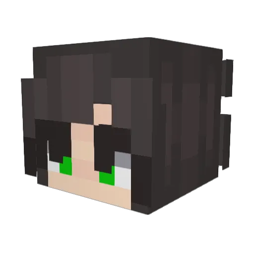 Natisi303 Minecraft avatar head, 3D render