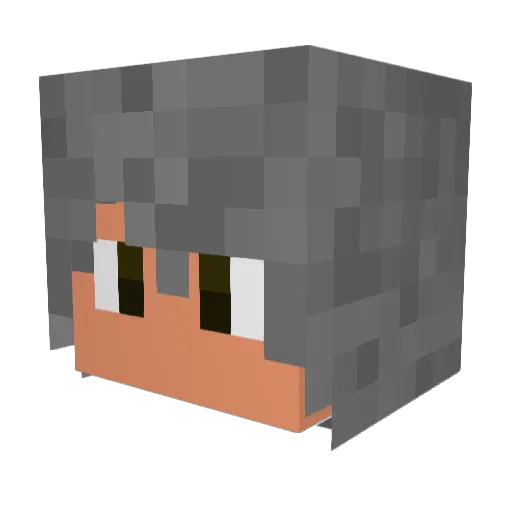 NativeAcrobat67 Minecraft avatar head, 3D render