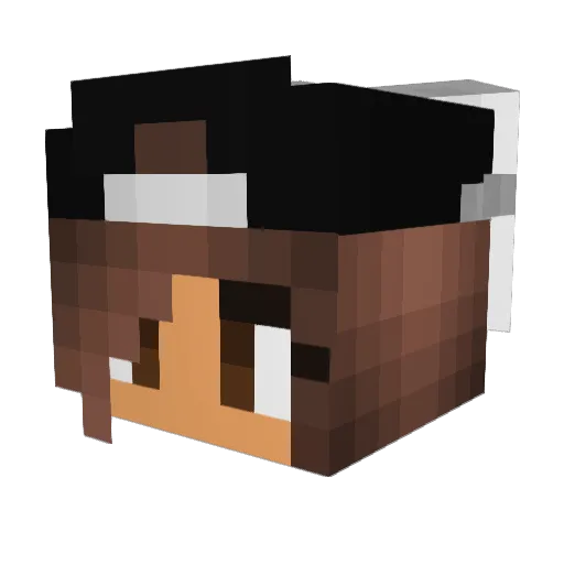NativeDancer64 Minecraft avatar head, 3D render