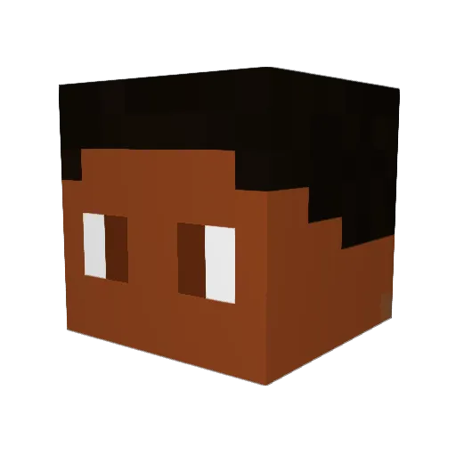 NativeJay Minecraft avatar head, 3D render