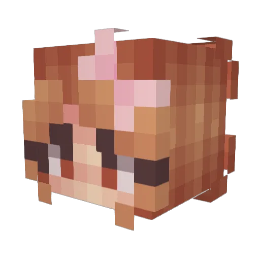 Natixx27 Minecraft avatar head, 3D render