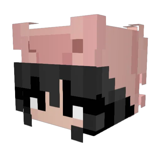 Natka_132 Minecraft avatar head, 3D render