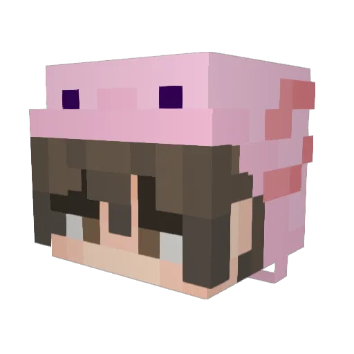 Natl1 Minecraft avatar head, 3D render