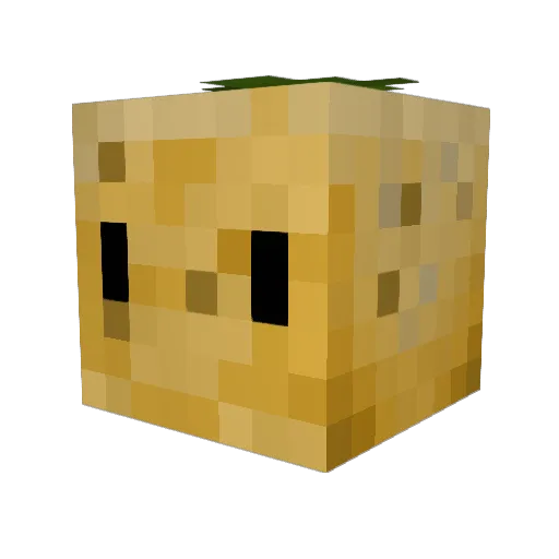 Natopotatoe Minecraft avatar head, 3D render