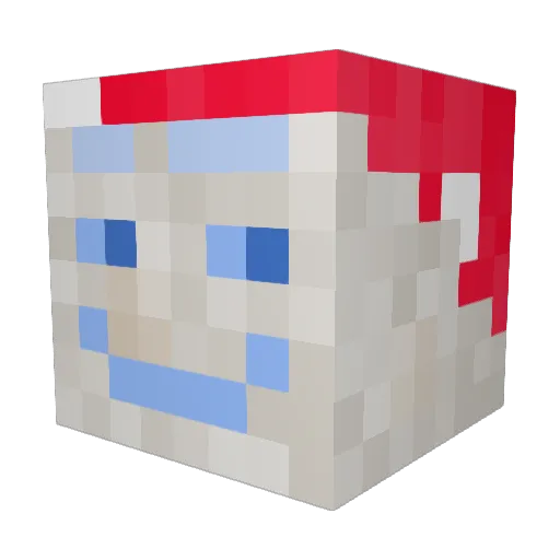 Natorgator4969 Minecraft avatar head, 3D render