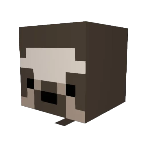 Natpark Minecraft avatar head, 3D render