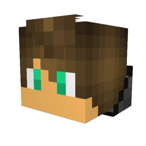 Natrox_ Minecraft avatar head, 3D render