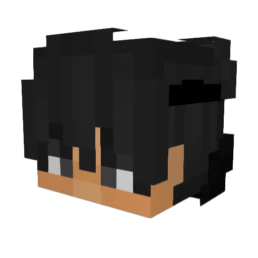 Natrrox Minecraft avatar head, 3D render