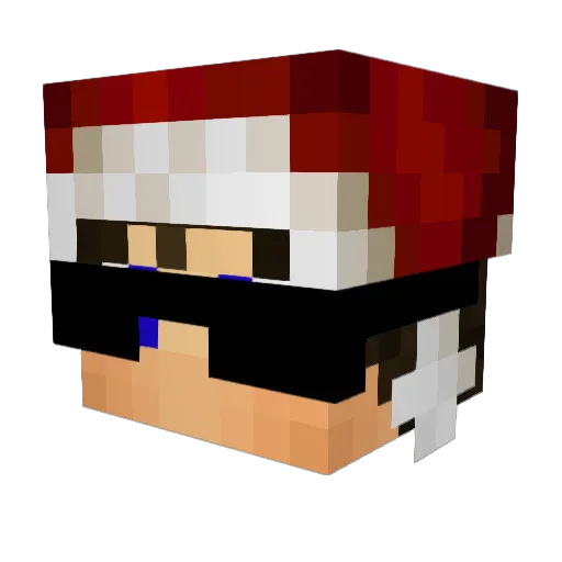 NatsEWTB1 Minecraft avatar head, 3D render