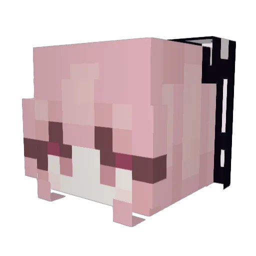 Natsook_ Minecraft avatar head, 3D render