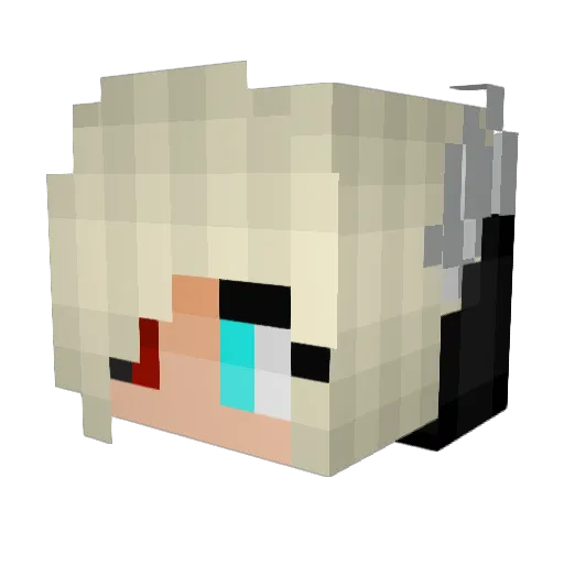 NatsuDragon79 Minecraft avatar head, 3D render
