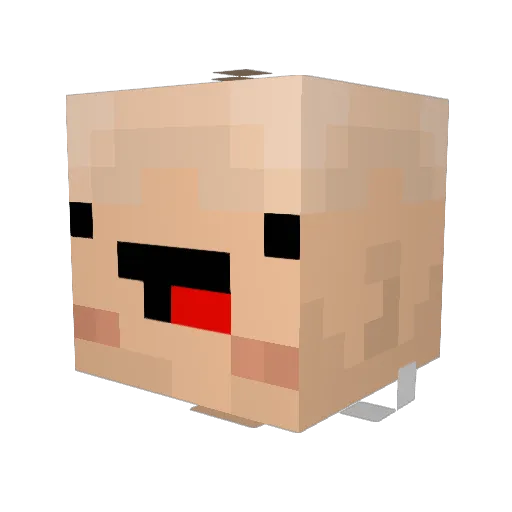 NatsuTetsyuja Minecraft avatar head, 3D render