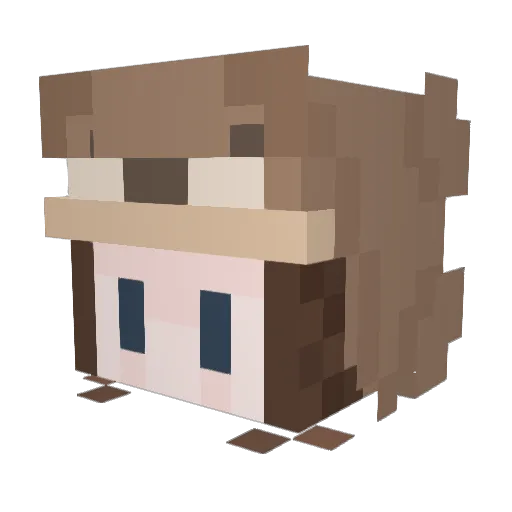 Natte_T0sti Minecraft avatar head, 3D render
