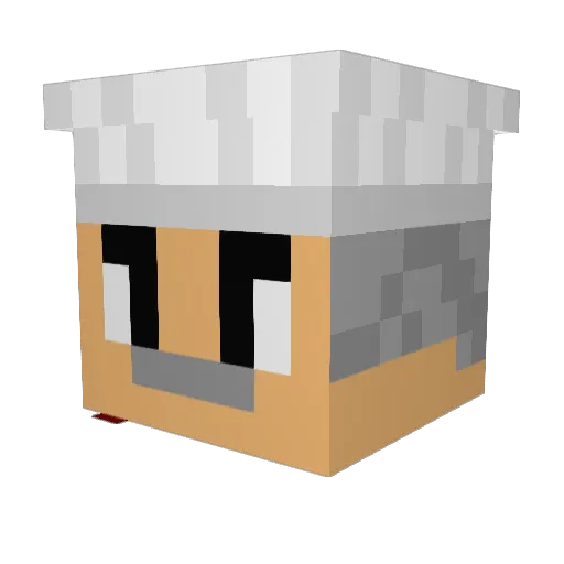 Natte_Walrus Minecraft avatar head, 3D render
