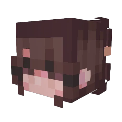 Nattherat734 Minecraft avatar head, 3D render