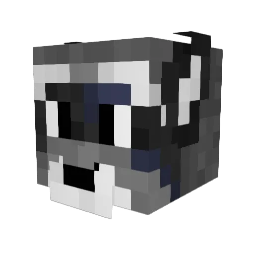 Nattiep13 Minecraft avatar head, 3D render