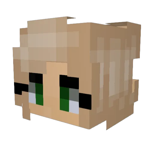 Nattis19 Minecraft avatar head, 3D render